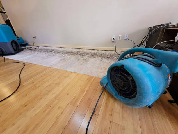 Professional Water Removal technician working in Sheffield, AL